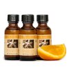 Bakto Flavors Natural Orange Extract (1 FL OZ) Pack of 3