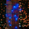 Novelty Lights 100 Light LED Christmas Mini Light Set, Outdoor Lighting Party Patio String Lights, Blue, Green Wire, 34 Feet