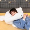 OPHRBU Goose Stuffed Animal Pillow Toy,Cute Giant Goose Plush Duck Stuffed Animal Hugging Pillow,Super Soft Swan Stuffed Animal Sleeping Pillow for Kids and Adults. (White, 25.6)