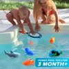 No Hole Mold Free Bath Toys for Toddlers 1-3, Water Toys for 6-12 Months Infants with Storage Bag, Baby Shark Toys for Pool, Bathtub, Beach, Shower, Tub, Kids Boys Girls Gifts
