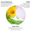PROcure Remedy Gel with Arnica, Helps Improve the Appearance of Bruises & Spider Veins on the Foot and Ankle, Unscented & Paraben Free with Soft Touch Applicator, 2 Fl Oz