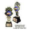 9” Custom Trophy with Engraved Plate - Upload Your Logo or Choose from Sports, Academic, Scholastic, Funny and More! - Customize Now!