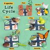 Life Cycle Learning Toys for Kids: Life Science Education Kits with Butterfly, Frog, Chicken, Mantis, Bee, Plants - 25 Pieces Animal Figurines Montessori Toys for Children Age 3 4 5 6 7 8+