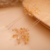 Kercisbeauty Wedding Hair Pins Crystal Hair Accessories for Women Girls Bridal Hair Clips Brides Bridesmaid Hair Dress 2pcs (Champagne Beads)