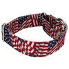 Country Brook Petz - Patriotic Tribute Martingale Dog Collar - Americana Collection with 4 Patriotic Designs (1 1/2 Inch, Medium)