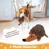Pilipane Plush Dog Toy, Hedgehog Dog Squeaky Toy, Soft Animal Plush Dog Toothbrush Chew Toy, Interactive Squeaky Hide and Seek Plush Dog Toy,Stuffed Biting Training Playing Toys for Pet Puppy Chewers