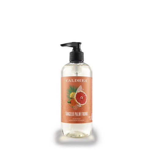 Caldrea Hand Wash Soap, Aloe Vera Gel, Olive Oil and Essential Oils to Cleanse and Condition, Scent, Tangelo Palm Frond 10.8 Fl Oz