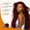 Hair Dye Shampoo 3 In 1, Dark Wine Red Hair Color Treated Shampoo Para Canas, Deep Burgundy 100% Gray Hair Coverage for Women & Men Parent, Lasts 30 Days, Easy To Use, Christmas Gift, 500ml