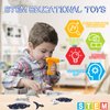 KAEGREEL Take Apart Shark Toys for Kids, Construction Take Apart Ocean Fish Toys with Electric Drill Screwdrivers, STEM Learning Building Toys for Boys Girls Birthday Gift Aged 3 4 5 6 7 8 Year Old