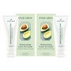 Eva + Avo Leave In Conditioner Cream – Hair Moisturizer Cream for All Hair Types – Paraben and Sulfate-Free Leave In Hair Conditioner – Hydrating Hair Treatment with Avocado and Rosemary - 2-Pack
