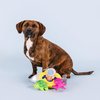 Fringe Studio Plush Dog Toy Set, Interactive Hide and Seek Play, Into The Deep, Pet Shop Collection (289249)