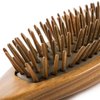 Breezelike Hair Brush for Women - No Static Wooden Bristle Detangler - Natural Wood Aroma Detangling Sandalwood Hair Brush
