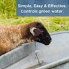 Healthy Ponds Stock Tank Water Trough Cleaner for Horse, Cattle, Goat & Chicken | All-Natural Safe & Easy to Use 6 Refills