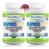 Power By Naturals Sea Moss Plus - USDA Certified Organic Wildcrafted Irish Seamoss, Bladderwrack & Burdock Root, Supplement for Immunity, 60Ct, 2 Pack