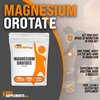BulkSupplements.com Magnesium Orotate Powder - Magnesium Supplement, High Absorption Magnesium, Magnesium Orotate Supplements - Gluten Free, 700mg (49mg of Magnesium) per Serving, 500g (1.1 lbs)
