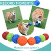 Vitalili Dog Toy Balls, 4 PCS Rubber Ball Set, Chew Resistant, High Bounce, Textured Design for Teeth Cleaning, Dog Training, Small Breeds, 2in/5cm Diameter