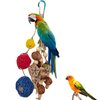 Setaria Viridis Bird Chew Toys Parrot Toys Bird Toys Natural Nuts Rattan Ball Parrot Tearing Toy Bird Chewing Toy for Macaws, Cockatoos,African Grey Parrots and Other Small Medium Birds