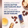 Vaseline Cocoa Shimmer Jelly Stick Highlighter & Luminizer – Vaseline Cocoa Butter Body Shimmer Stick, Vaseline Lotion, Travel Size, for Glowing Skin, 1.4 Oz Ea (Pack of 6)