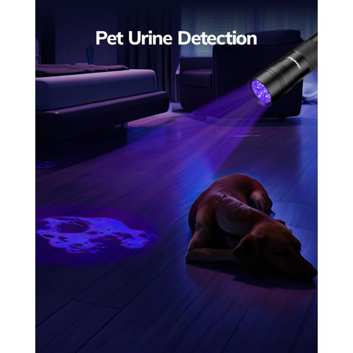 Morpilot Blacklight Flashlights uv Flashlight,12 LED 395nm Ultraviolet Blacklight 2 PCS Black Light Flashlight Mini, Torch Light Pet Urine Detector Light for Dog/Cat, Dry Stains,Resin Curing,Bed Bug