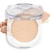 FelinWel Highlighter Makeup Palette Face Highlighting Palette for Cheek Body Collarbone, Long-Lasting Shimmery Contour Powder-02 Shine Champagne (0.18 Oz)