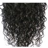Doren Deep Curly Clip In Human Hair Extensions for Women 8Pcs 20Clips 120g Remy Brazilian Water Wave Hair Natural Black 16 Inches