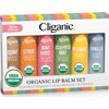 Cliganic USDA Organic Lip Balm Set (4 Packs of 6 Tubes), 100% Natural Moisturizer for Cracked & Dry Lips