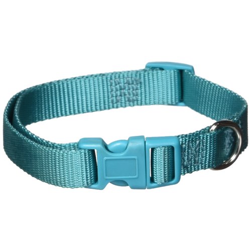 Zack & Zoey ⅝" Wide Nylon Dog Collar, Fits Necks 14" to 20", Bluebird