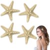 FEINIGESI 4 Pcs Starfish Hair Clip Mermaid Costume Accessories for Women and Girls Resin Sea Star Hairpins Seashell Clips Accessories for Mermaid Halloween Beach Costume