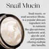 MIZON Black Snail All In One Cream, Premium, Snail Repair Cream, Intensive Care, Korean Skin Care, Facial Moisturizing, Snail Mucin Extract, Wrinkle Care, Firming (75ml / 2.54 fl oz)
