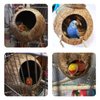 Tfwadmx Natural Coconut Hide with Ladder Perches Hanging Bird House Toy for Cage Parrot Breeding Nest for Gecko Parakeet Lovebird Finch Hamster