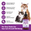 Special Breed L-Lysine for Cats & Kittens – Immune, Respiratory & Eye Health Support – Liquid Cat Supplement with Astragalus, Burdock, Atractylodes, Dangshen & Vitamins A, B1, B2, B6 – 4oz (120mL)