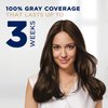 Clairol Permanent Root Touch-Up, 003 Black [pack of 2] ,1 ea