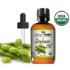 Mayan's Secret Pure, Cold Pressed USDA Certified Organic Soybean Oil for Skin, Hair, and Body - 4 fl oz