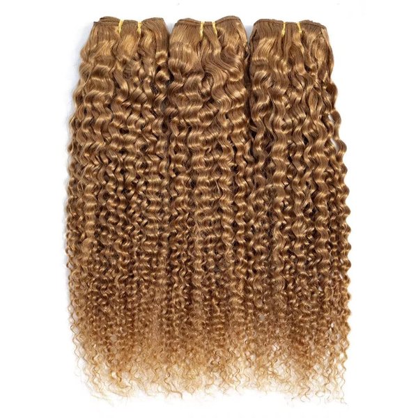 FEELME Honey Blonde Brazilian Hair Kinky Curly Bundles Color 27 Curly Human Hair Bundles Unprocessed Virgin Brazilian Curly Hair Bundles 100% Human Hair Extensions 3 Bundles 10 12 14
