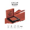 Pastel Cream Blush 49 | Fresh | Healthy & Natural Look | Ligh Weighted Formula | Sebum Control Richly Pigmented | Easily Blendable | Long Lasting | Semi Matte | 0.18 oz.