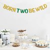 RoadSea Born Two Be Wild Banner - Boy Girl Kid 2nd Birthday Party Supplies - Baby Shower Idea and Gift - Two Years Old Birthday Party Decorations - Gold Glitter