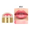 Tinted Lip Balm, Long Lasting Hydrating, Gloss Finish, Fade Lip Lines, Repair Dry and Cracked Lips (04)