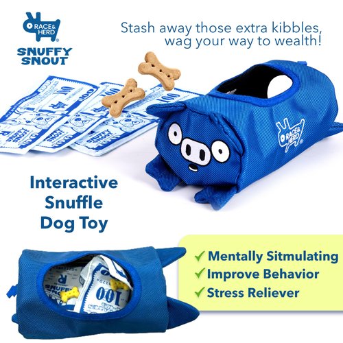 SnuffySnout Snuffle Mat for Dogs, Interactive Sniff Mat for Slow Eating and Keep Busy, Adjustable Dog Digging Toys Encourages Natural Foraging Skills and Mental Stimulation (Dog Piggy Bank, 3 Bills)