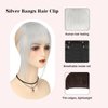 VANANGA French Hair Bangs Clip on, Silver Grey Long Wispy Bangs Hair Clip with Temples Natural Fringe Neat Bangs Hair Clip Hair Piece Long Bangs Clip in Hair Extensions for Women(Silver Grey)