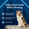 Blue Buffalo Wilderness Trail Treats Wild Bones Large Dental Chews, Grain-Free Dog Bones for Large Dogs Made with Natural Ingredients, 10-oz Bag