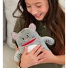 The Tooth Brigade Book and Tooth Fairy Pillow Bundle, Interactive Set Includes 8" Plush Toy with Lost Tooth Pocket and The Tooth Fairy's Best Day Ever! Hardcover Book (Gizmo Cat Bundle)