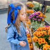 2Pcs Long Ribbon Hair Bows for Girls Hair Clip Silk Hair Bow Ribbon Hair Accessories for Baby Toddlers Infant Teens Kids (Blue)