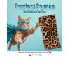 DesertUSA Purrfect Pounce Refillable Cat Toy with Catnip Included - Handmade in The USA, Interactive Leopard Design - Easy Refill Opening
