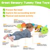 Baby Sensory Toy 0-6 Month Music Animal Stuffed Plush Caterpillar Toy for Infant 0-3-6 Month Tummy Time with Baby Mirror Crinkle Rattle for 6-12 Month Texture Toy for Newborn Boys Girls Birthday Gifts
