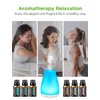 InnoGear Essential Oil Diffuser with Oils, 100ml Aromatherapy Diffuser with 6 Essential Oils Set, Aroma Cool Mist Humidifier Gift Set, White