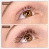 Curacoro Brown Eclipse Flat Lash Extensions - Mixed Length 8-15mm, Thickness 0.15mm, C CC D Curl, Brown Mink False Lashes, Matte Finish, Individual Eyelashes for Salon Use, Lightweight and Fluffy