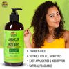 Rosemary Leave In Conditioner - 8 fl oz / 230 ml – Moisturizing Conditioner, Nourishes, Promote Hair Strength, with Castor Oil, Shea Butter, Seed Oil, by Jamaican Amber