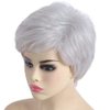 SYXLCYGG Short Silver White Wig Old Lady Wigs Wavy Synthetic 2.7 OZ Older Ladies Womens Hair Wigs Fluffy Thin and full Free Wig Cap