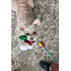 Glory To Dog Christmas Ornament Rope Dog Toy Fun Plush Dog Chew Toy, Squeaky Interactive Dog Toy for Puppy Small Medium Pets Dogs