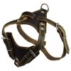 Real Leather Dog Harness, 24.5"-28" Chest Size, 3/4" Wide Medium